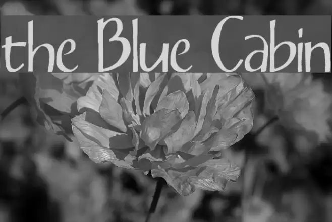 the Blue Cabin Caratteri examples
