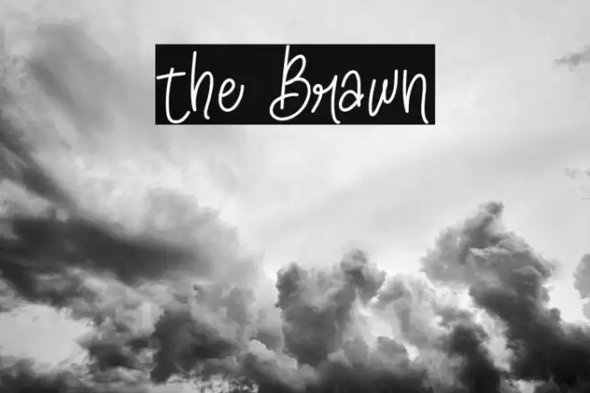 the Brawn Font examples