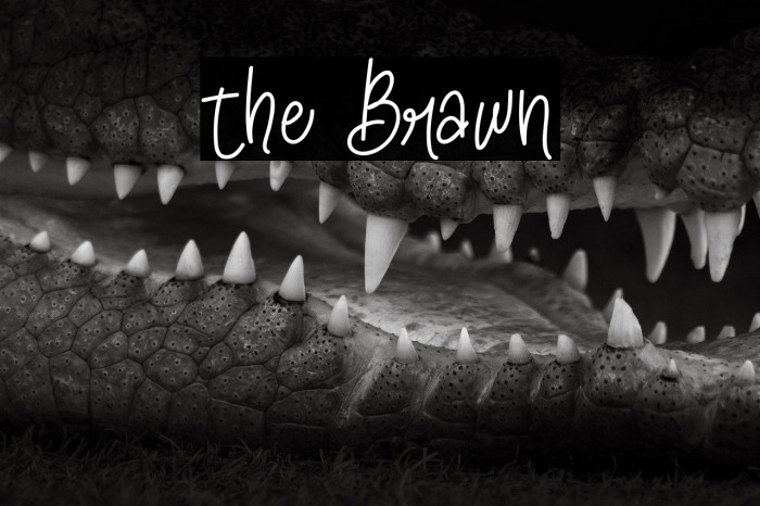 the Brawn Example 3