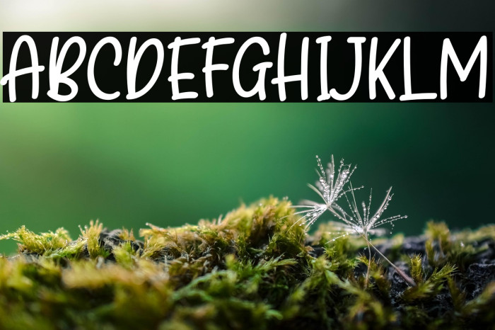 the FReSH of OnioN Example 2