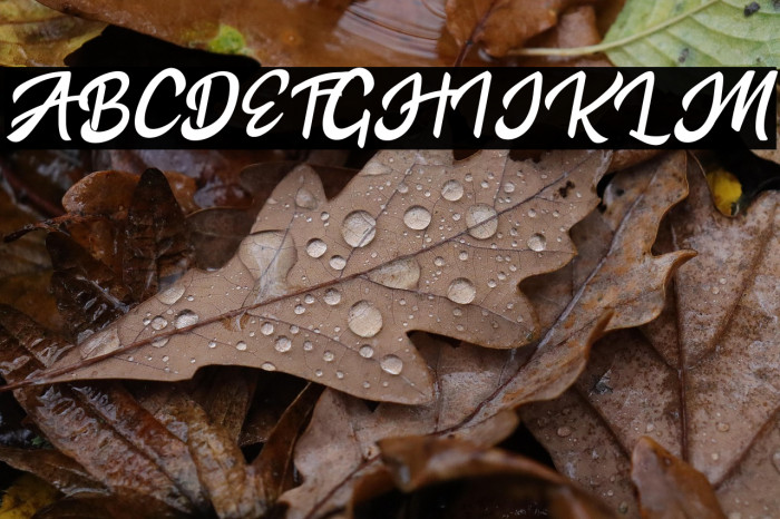 the Hartes Personal Use Example 2