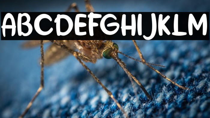 the Hungary Example 1