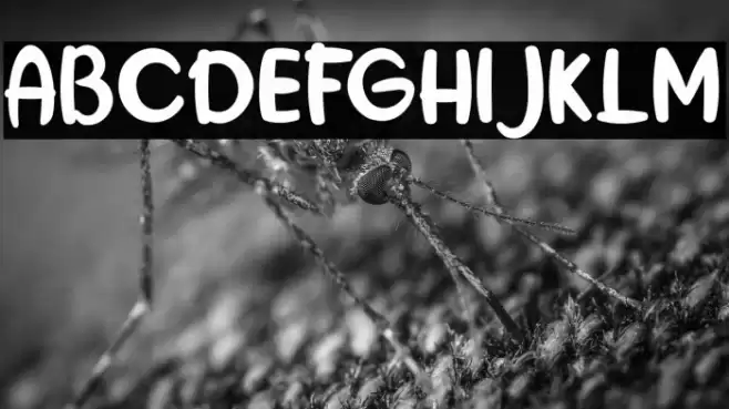 the Hungary Font examples