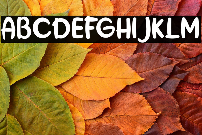 the Hungary Example 2