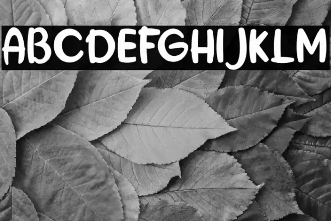 the Hungary Font examples