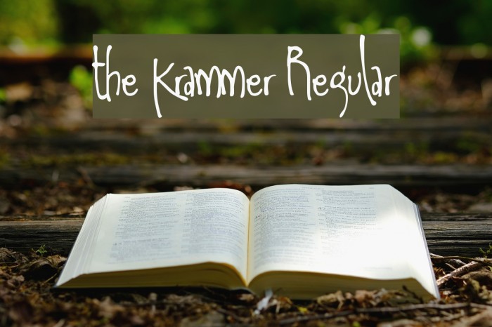 the Krammer Regular Font examples