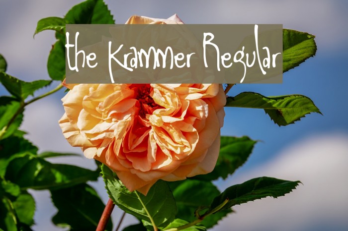 the Krammer Regular Font examples