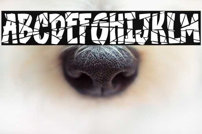 the Lost Souls Example 2