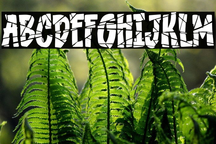 the Lost Souls Example 3