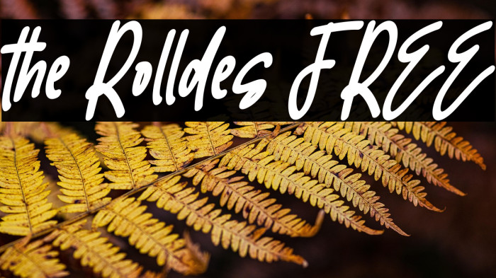 the Rolldes FREE Example 1
