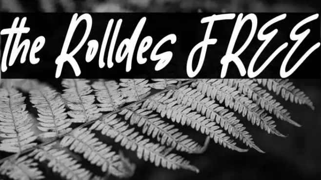 the Rolldes FREE フォント examples