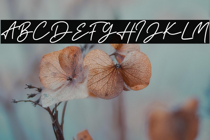 the Strong Signature Example 3