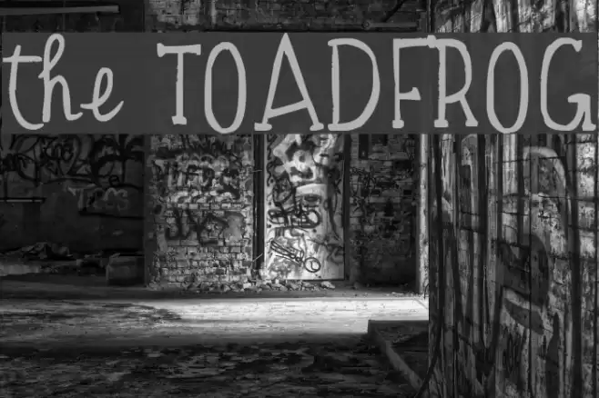 the TOADFROG Font examples