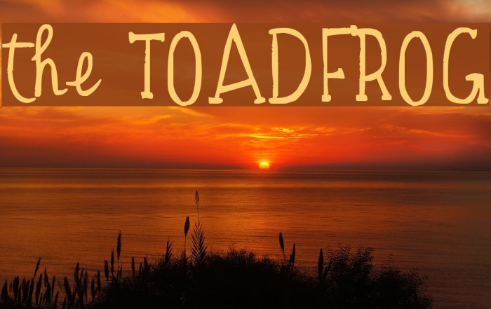 the TOADFROG Font examples