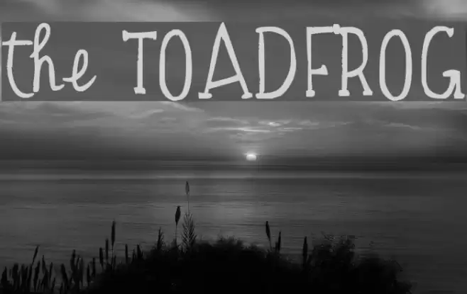 the TOADFROG Font examples