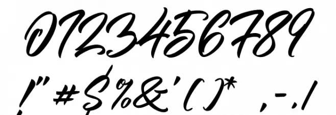 the Woofey Script Font OTHER CHARS