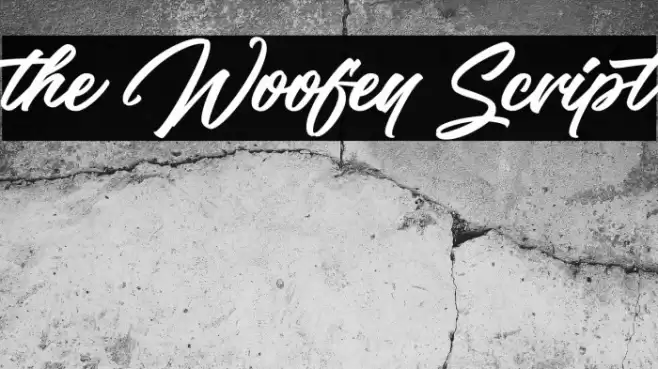 the Woofey Script Font examples