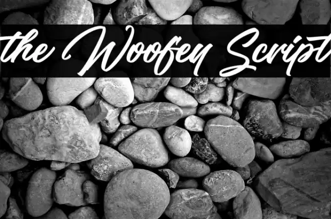 the Woofey Script Font examples