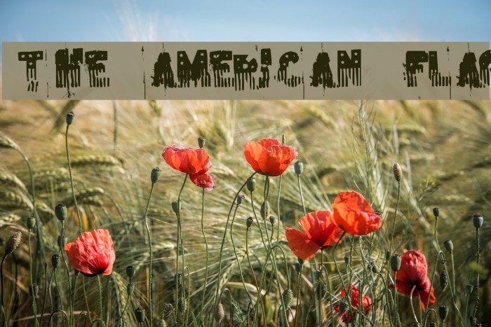 the american flag Font examples