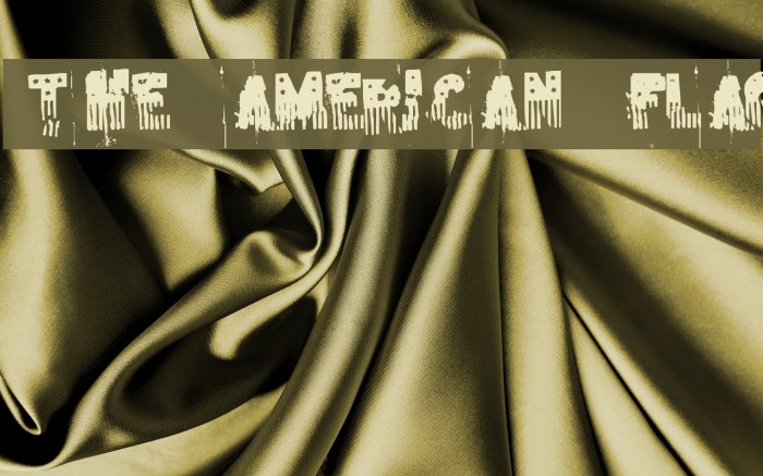 the american flag Font examples