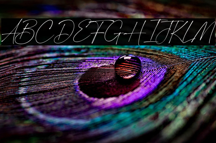 the artisan Example 2