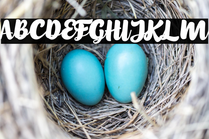 the beauty Example 3