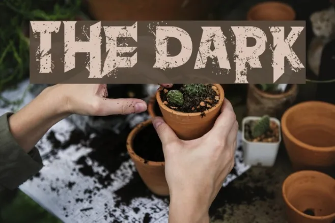 the dark Example 1