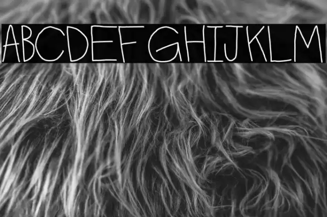 the do Font examples