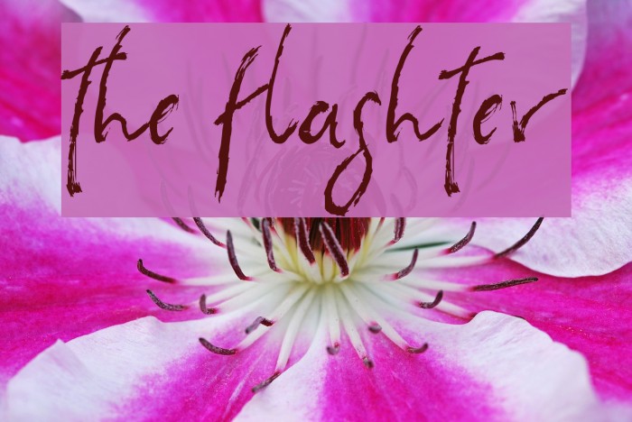 the flashter Font examples