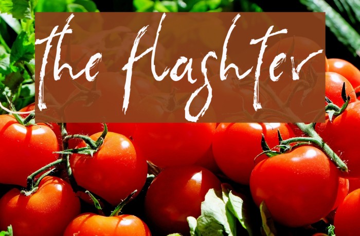 the flashter Font examples