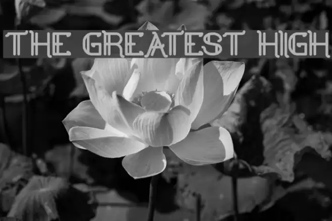 the greatest high Font examples