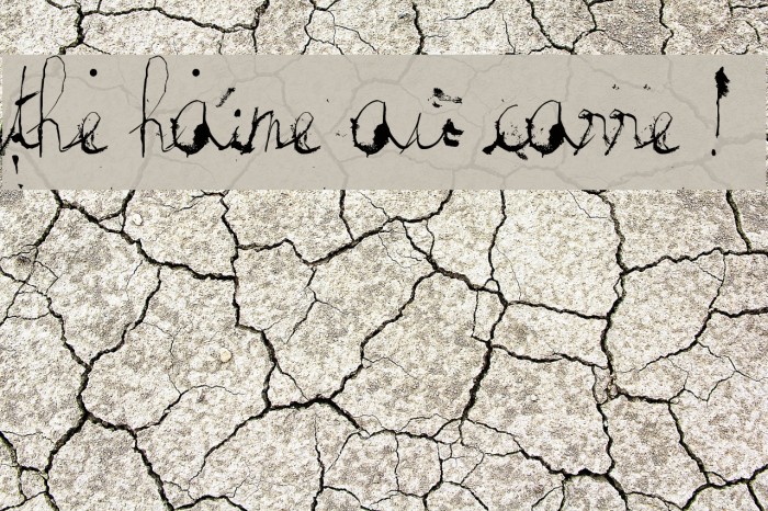 the haine au carre ! Example 2