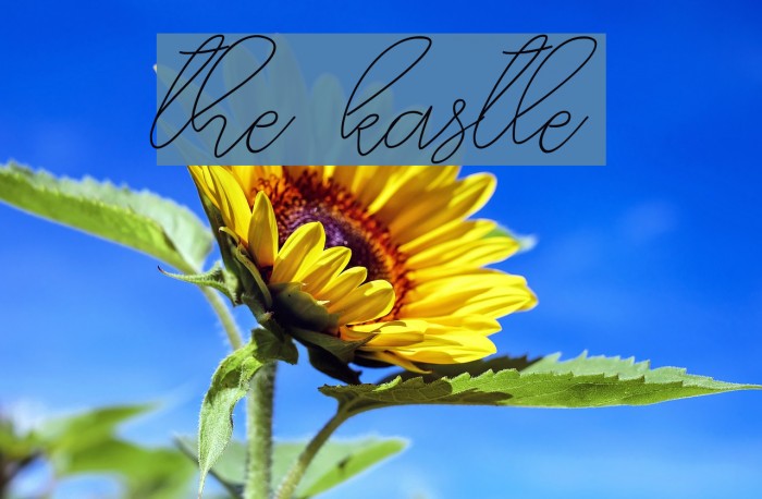the kastle Font examples