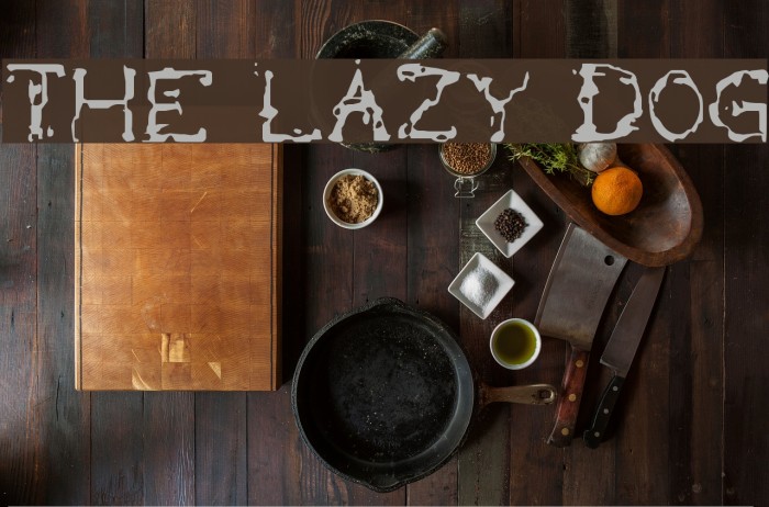 the lazy dog Font examples