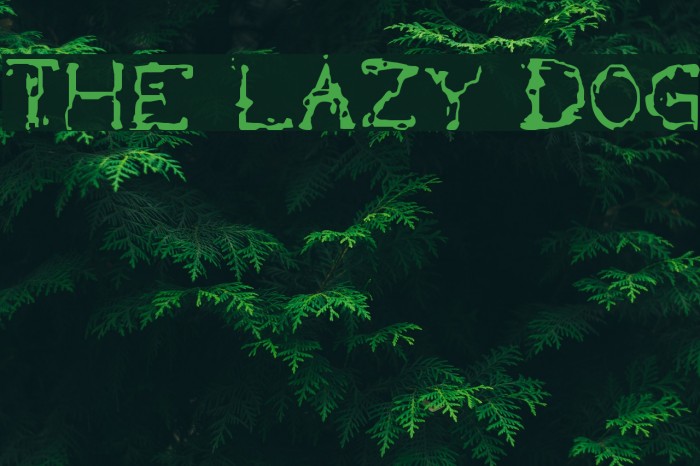 the lazy dog Font examples