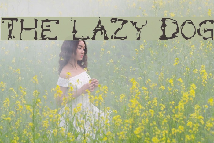 the lazy dog Font examples