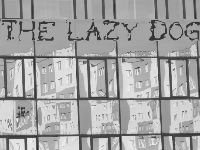 the lazy dog Font examples