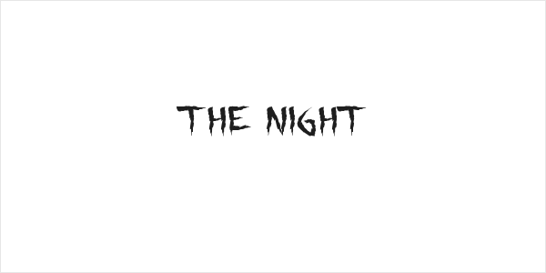the night Logo