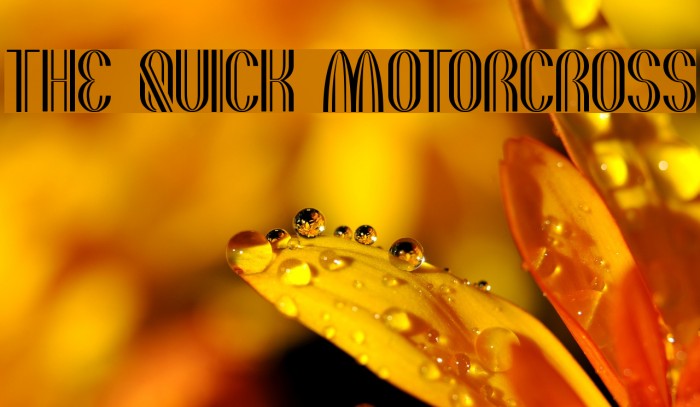 the quick motorcross Font examples