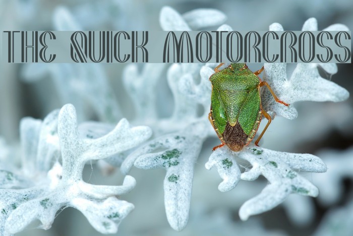 the quick motorcross Example 3