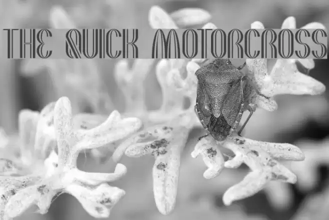 the quick motorcross Font examples
