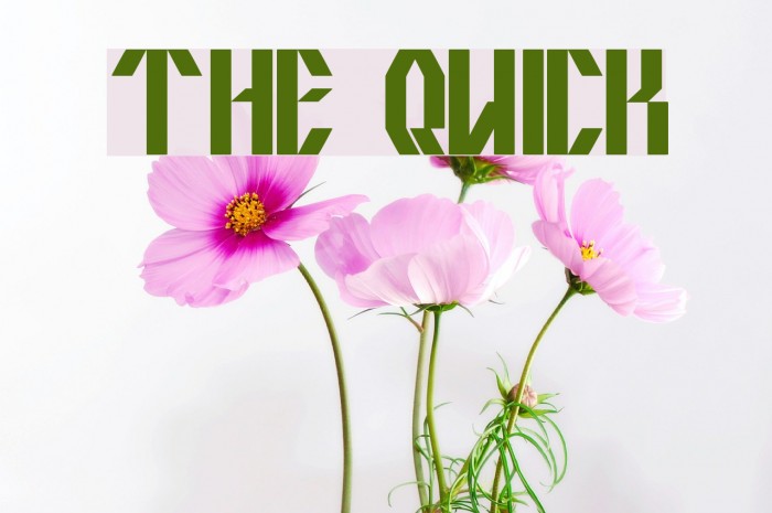 the quick Font examples