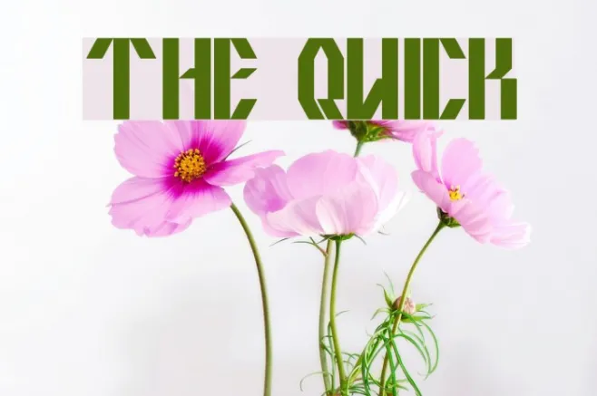 the quick Example 1