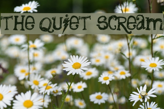 the quiet scream Font examples