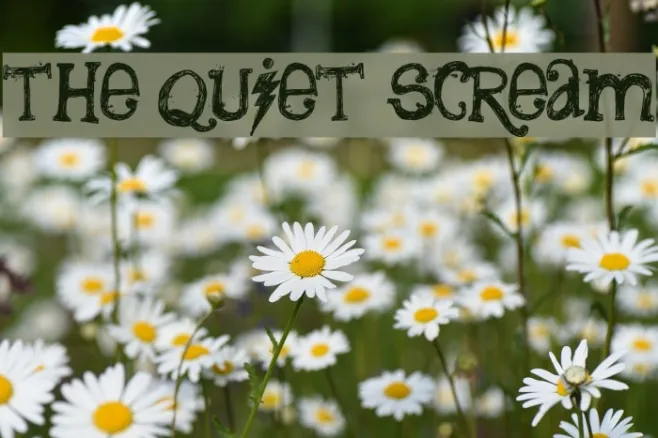 the quiet scream Example 3