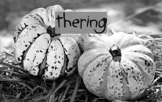 the-ring Font examples