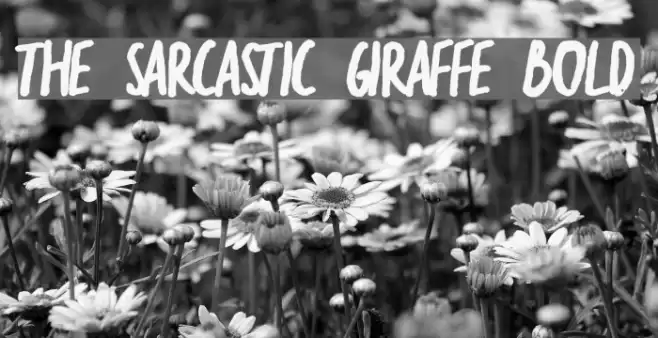 the sarcastic giraffe Bold Font examples