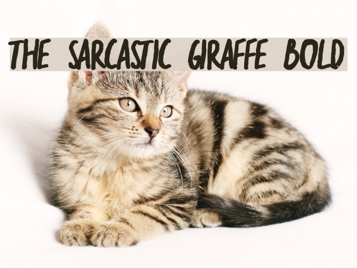 the sarcastic giraffe Bold Example 3