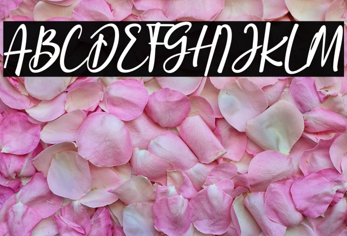 the stronghold Example 1