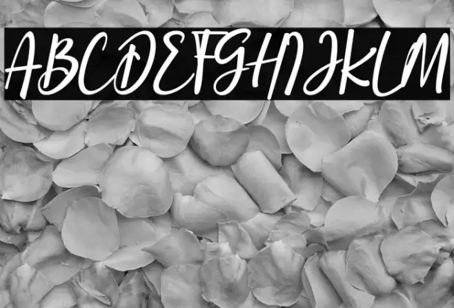 the stronghold Font examples